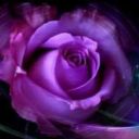 Milagross3456