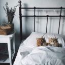 _girl_in_dreams
