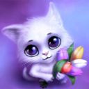 NIGHT_CAT8