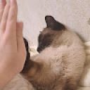 UwUwka