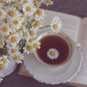 Dasha_Smit
