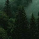 ruslan_82638
