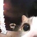 kalina_bb