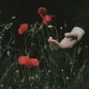 child_from_cemetery