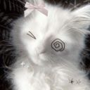 EchoNine