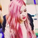 Rose8926