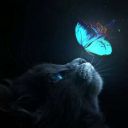 ann____kiska147