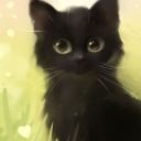 DahskaCat