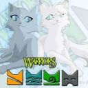 CatsWarriors9
