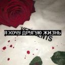 wolf_single