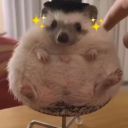 worldbeau000