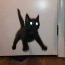 Kittensslove