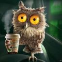 Forest-Owl