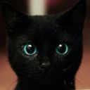 Funny__Kate