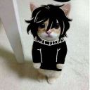 cchimgo