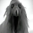 Perdosh_Neptuna