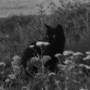 shadow_bonniee08