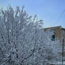 anechka2866