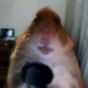 HannahLis