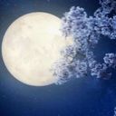 Abdi__offi