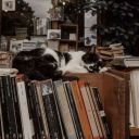 archy_letter