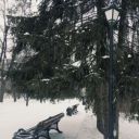 VetkaE