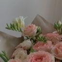 Ann_xz