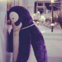 user80852