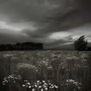 sashaminiyard_237