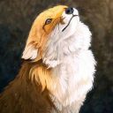 Kolart_fox