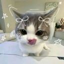 bjbjkmm