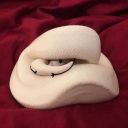 Beautiful_snake_666