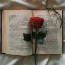 allforstorieslove