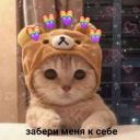 sochniy_persik