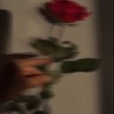 Anna_Zak13