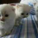sweetyway