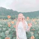 sunflowerlipa