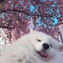 Anonlm_001