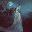 Queen_12_12