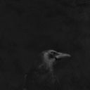 Black-Lunula