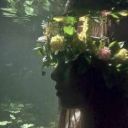 Em_Forest_Red