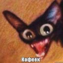 Niko2712