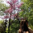 Linara_n