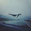 basha_10_06_02