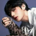 black1995rabbit