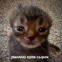 plitiksis
