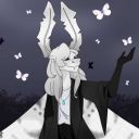 WighteMoth