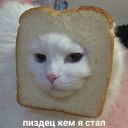 2_schizophrenic_9