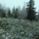 Maria_Vinchester_000