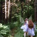 Dreamy___writer